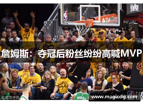 詹姆斯：夺冠后粉丝纷纷高喊MVP